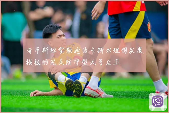 考辛斯称霍勒迪为卡斯尔理想发展模板的完美防守型大号后卫